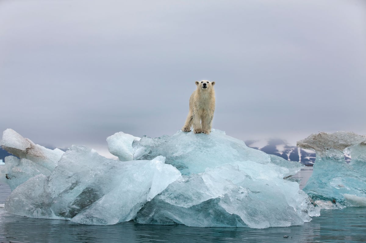 The economist trying to save the planet with his own crystal ball