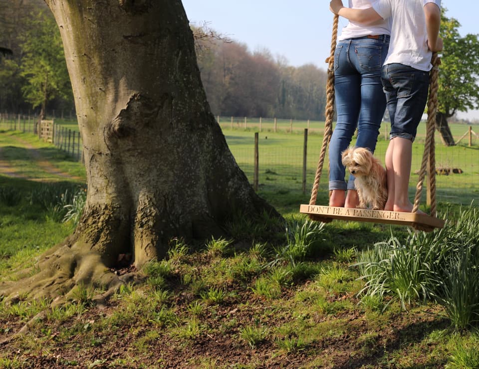 Oak & Rope swing