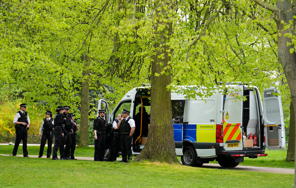 Men arrested over Kensington Gardens drone incident bailed