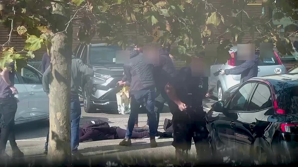 Dramatic moment Neo-Nazi teen plotting terror attack is arrested in London supermarket car park
