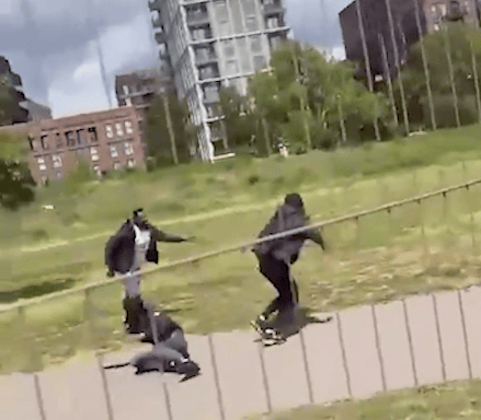 Hero bystander breaks up machete fight in south London park