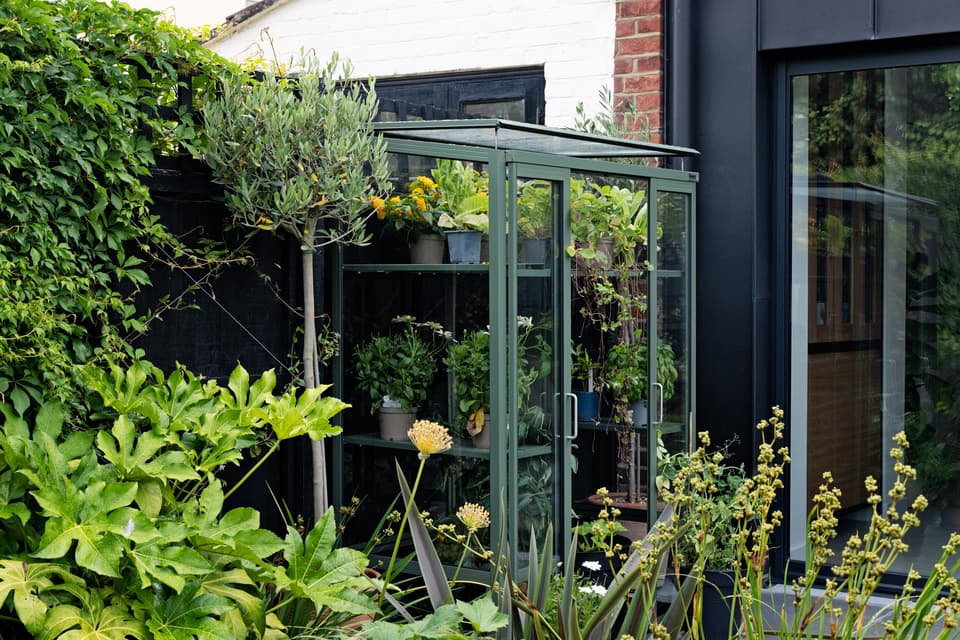 Rhino Greenhouses - Patio Greenhouse