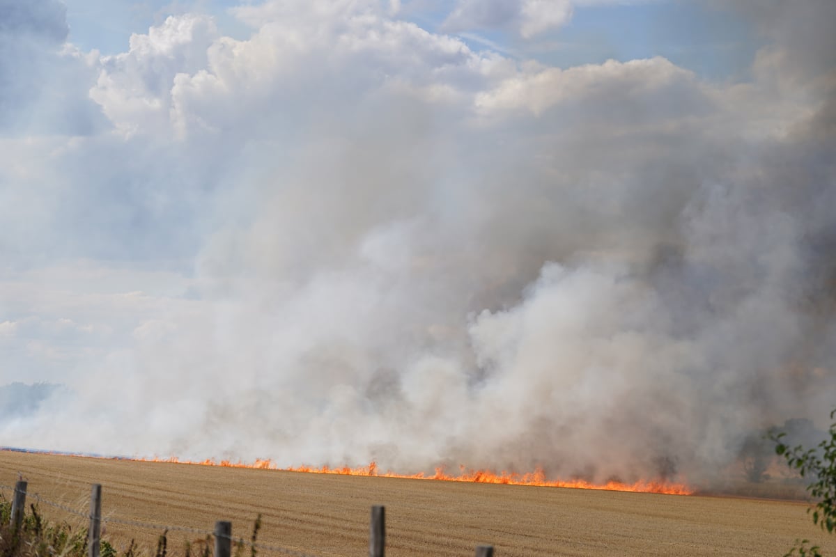 London weather LIVE: New wildfires rage in capital as worst drought in decades grips city