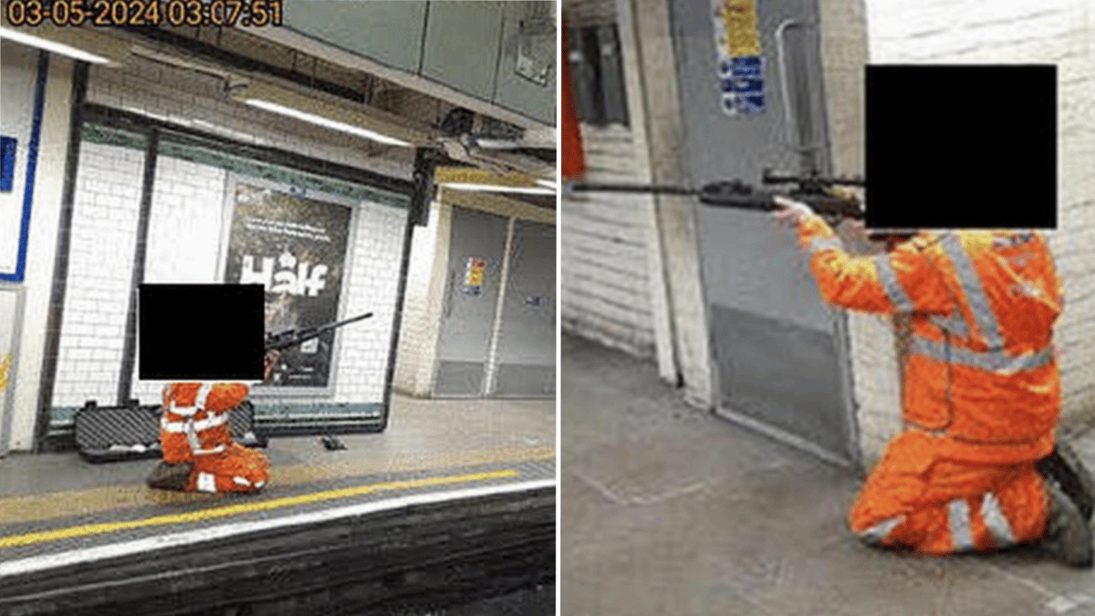 More than 600 pigeons shot and killed across London Underground in organised cullings