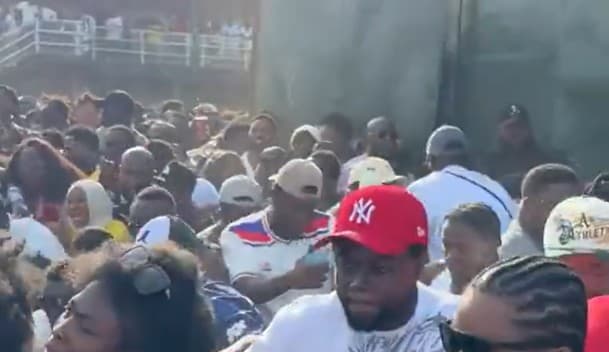 <p>Footage shows a crush at the Ghana in the Park festival </p>
