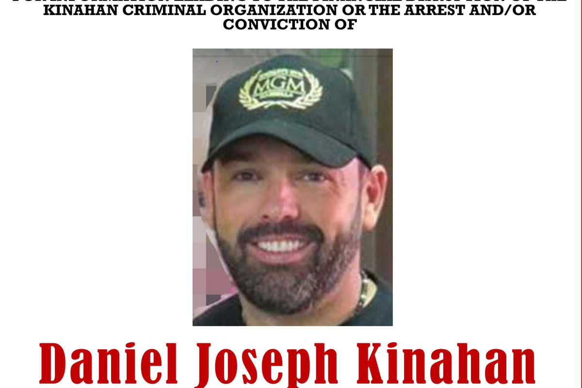 Irish Government jet flying extradited Daniel Kinahan to Dublin