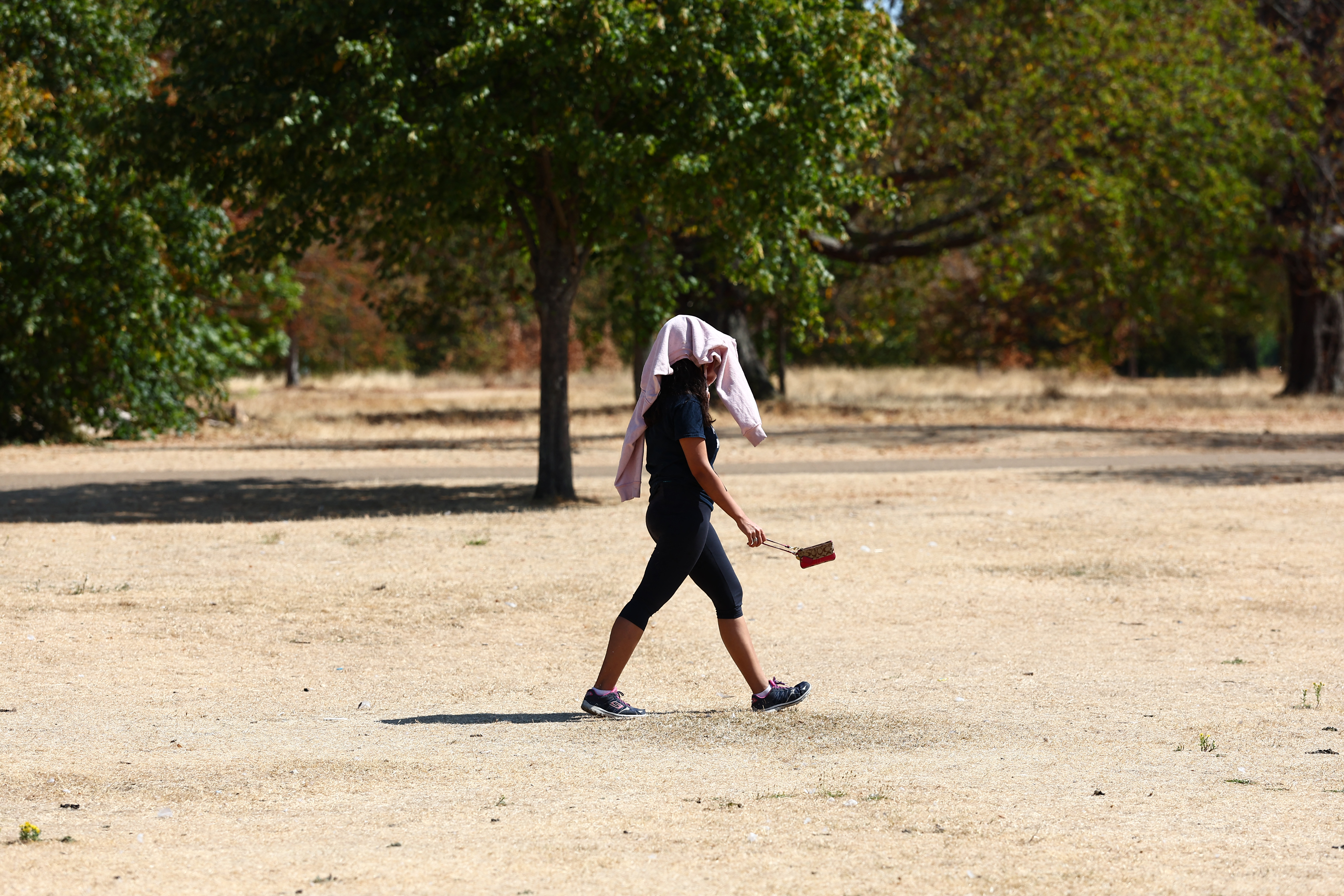 'Moment of urgency' for London as climate change threatens parks 