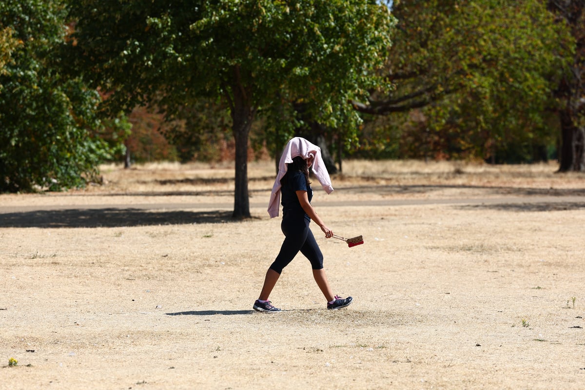 London's historic parks face 'moment of urgency' as climate extremes intensify