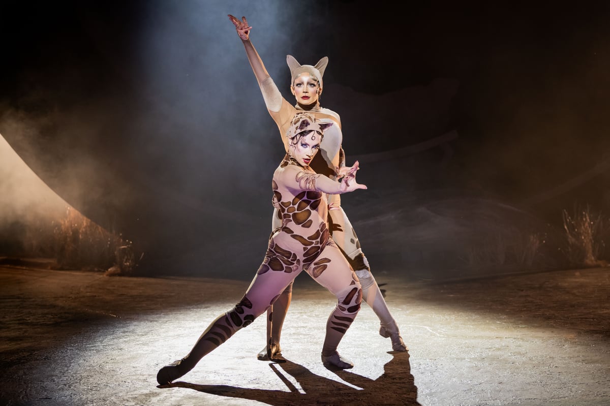 Cats at Regent’s Park Open Air Theatre: Skilfully mounted but deeply, deeply silly