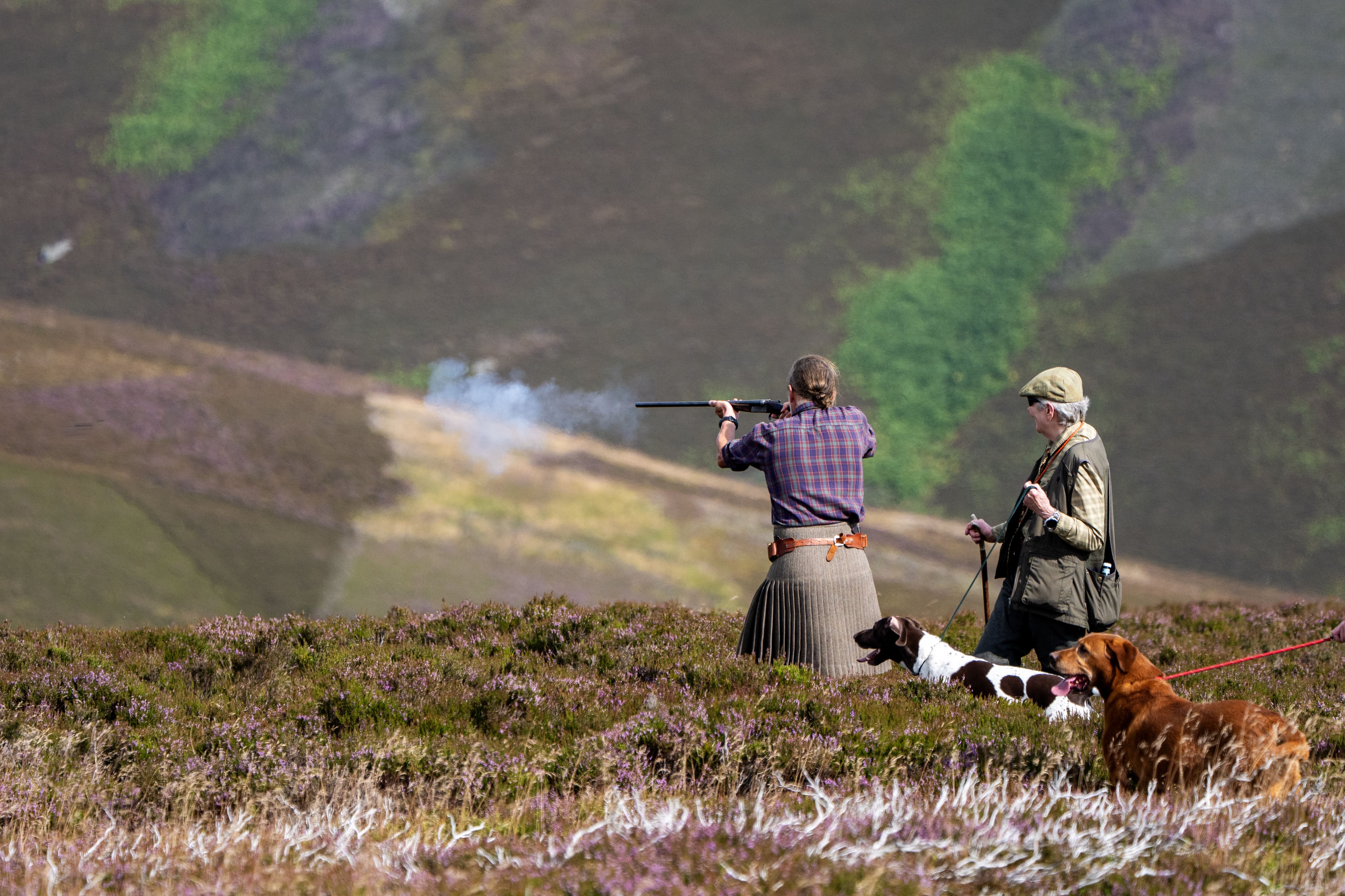 Grouse shooting ‘major contributor’ to rural economy, estates body says