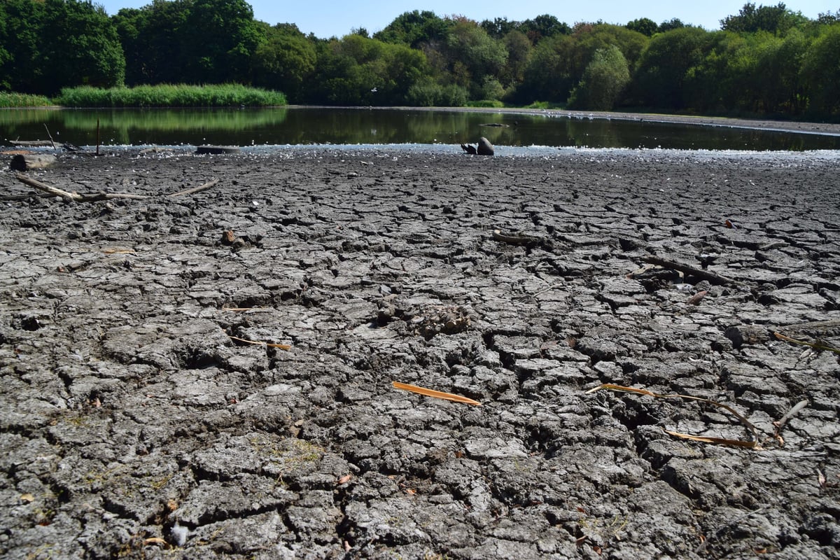 Rain expected in London, mirroring drought relief hopes in Canada and the United States