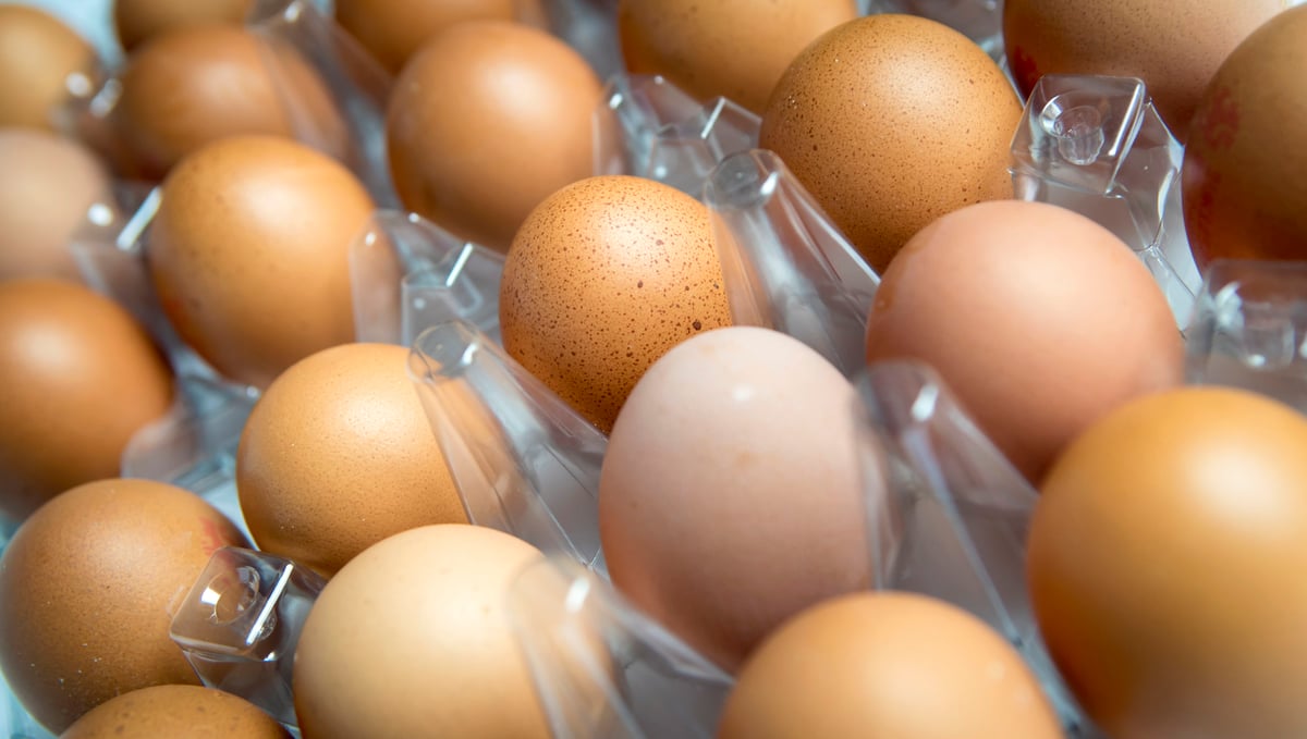 Canada watches UK salmonella outbreak linked to imported eggs, one dead