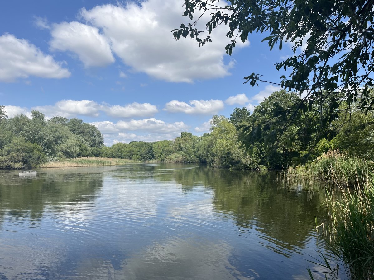 US and Canadian observers note UK police probe after human bones uncovered by wildfires at Bedfont Lakes Country Park