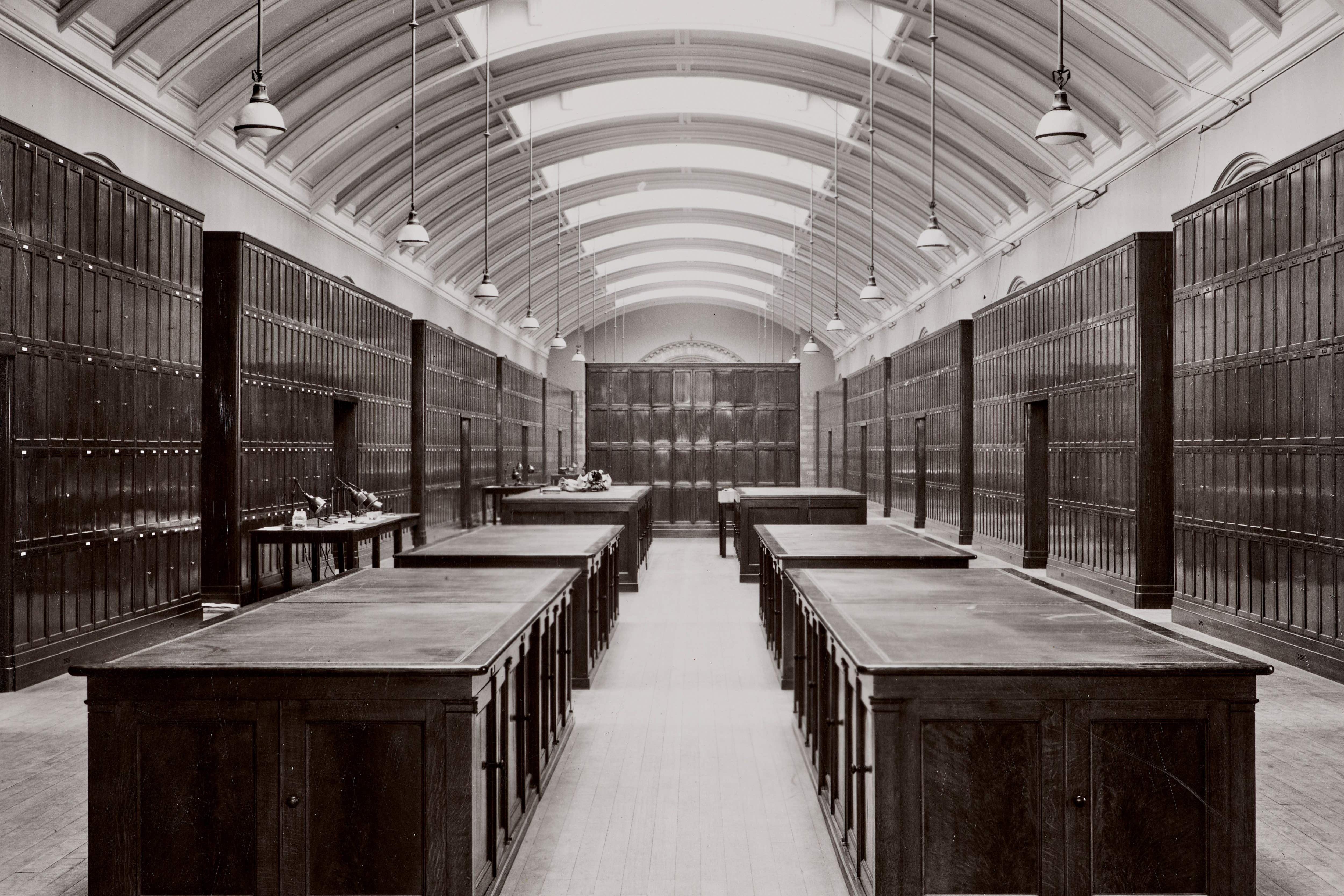 Natural History Museum to reopen hidden gallery closed since Second World War