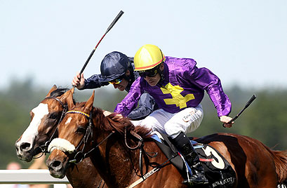 Spotlight on Ascot