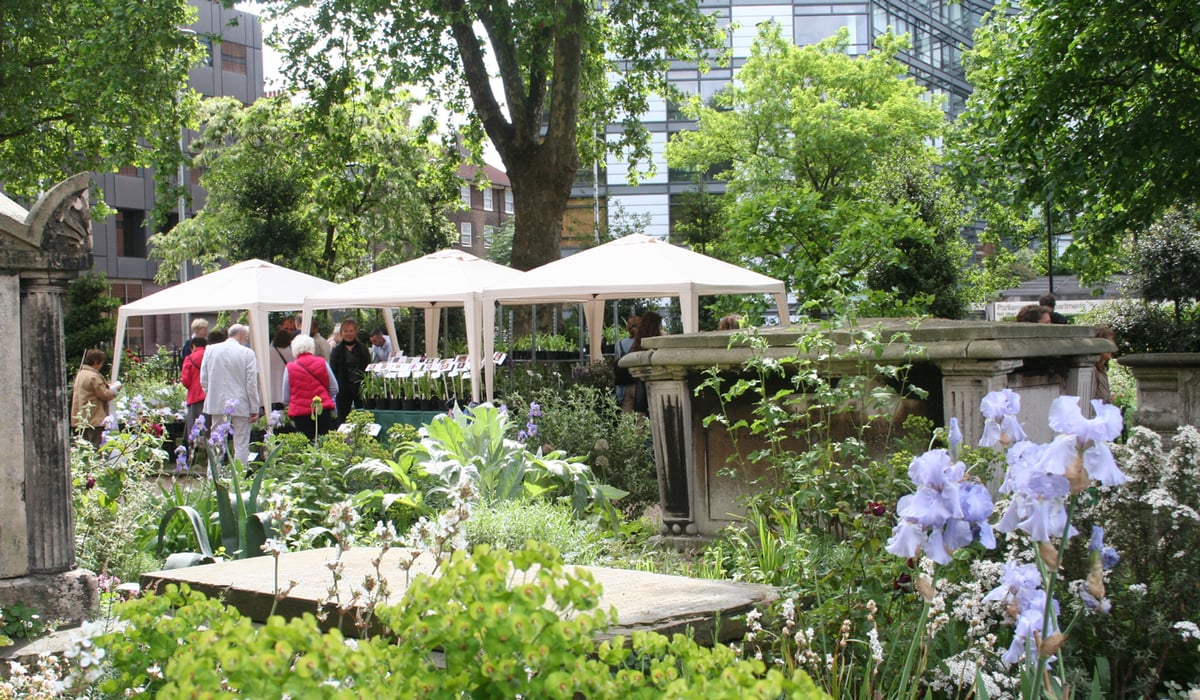 The Garden Museum's Plant Fair: visit London's oldest cultivated gardens and get expert advice | Homes and Property
