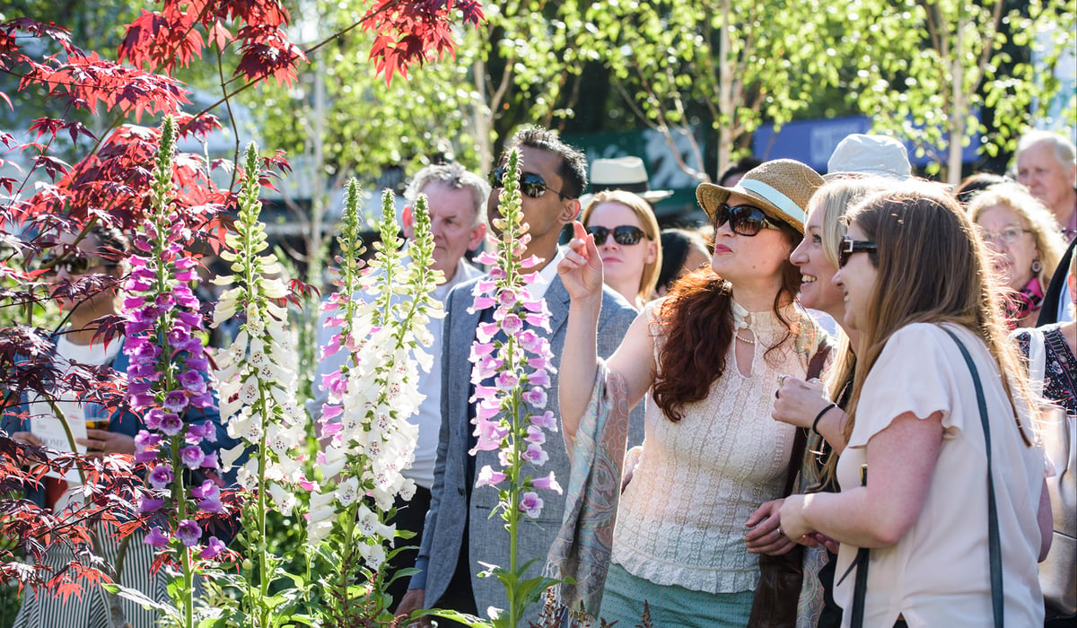 RHS Chelsea Flower Show 2016: the show garden highlights not to be missed | Homes and Property