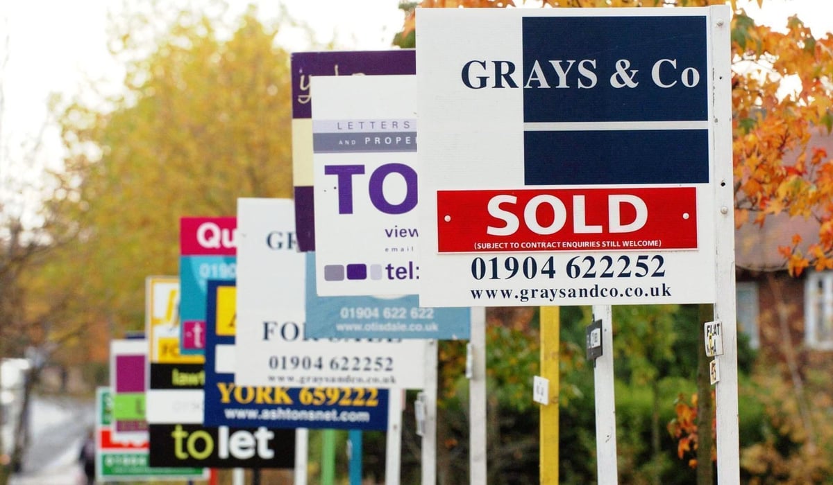 Home sales leapt 24% in January as buyers rushed to meet the stamp duty holiday deadline
