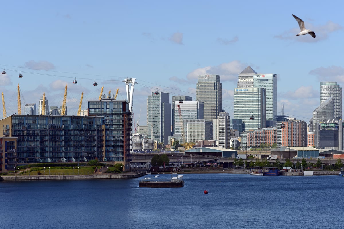 Living in Royal Docks: area guide to homes, schools and transport links | Homes and Property