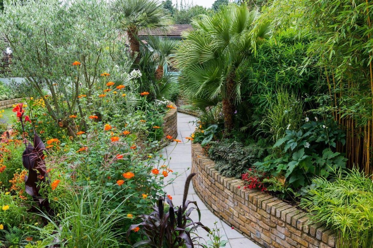 Totally tropical: tiny west London plot transformed into exotic oasis with palms, blooms and plants aplenty | Homes and Property