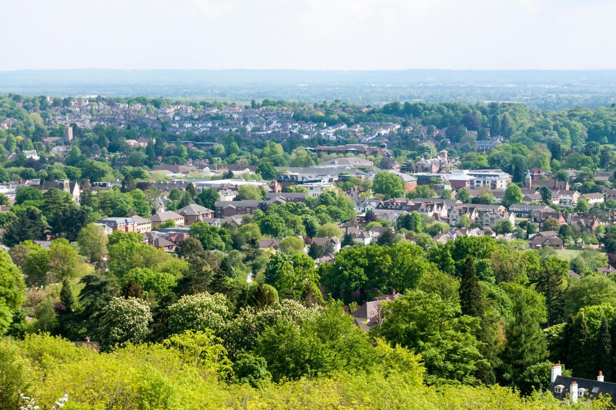 Young Londoners ‘want to build on green belt’ amid housing crisis