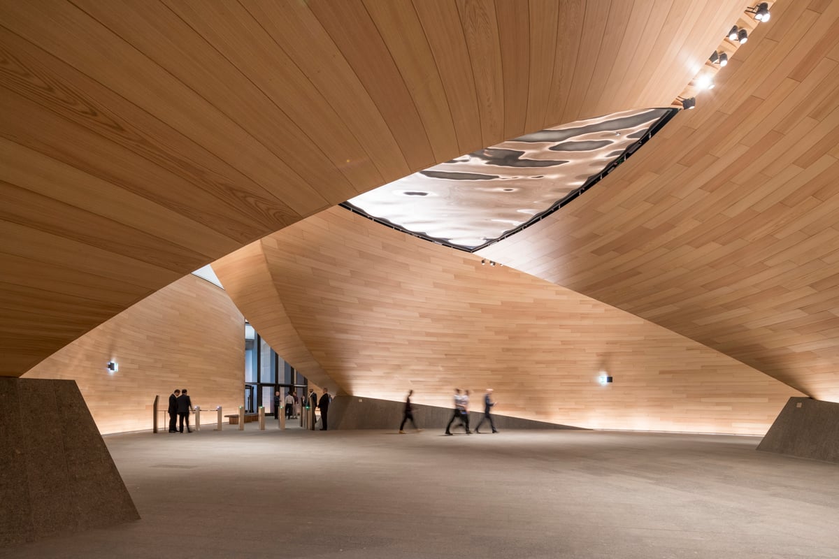 Branch out: it's time to celebrate the wonders of wood – a natural, sustainable and easy-to-use building material | Homes and Property