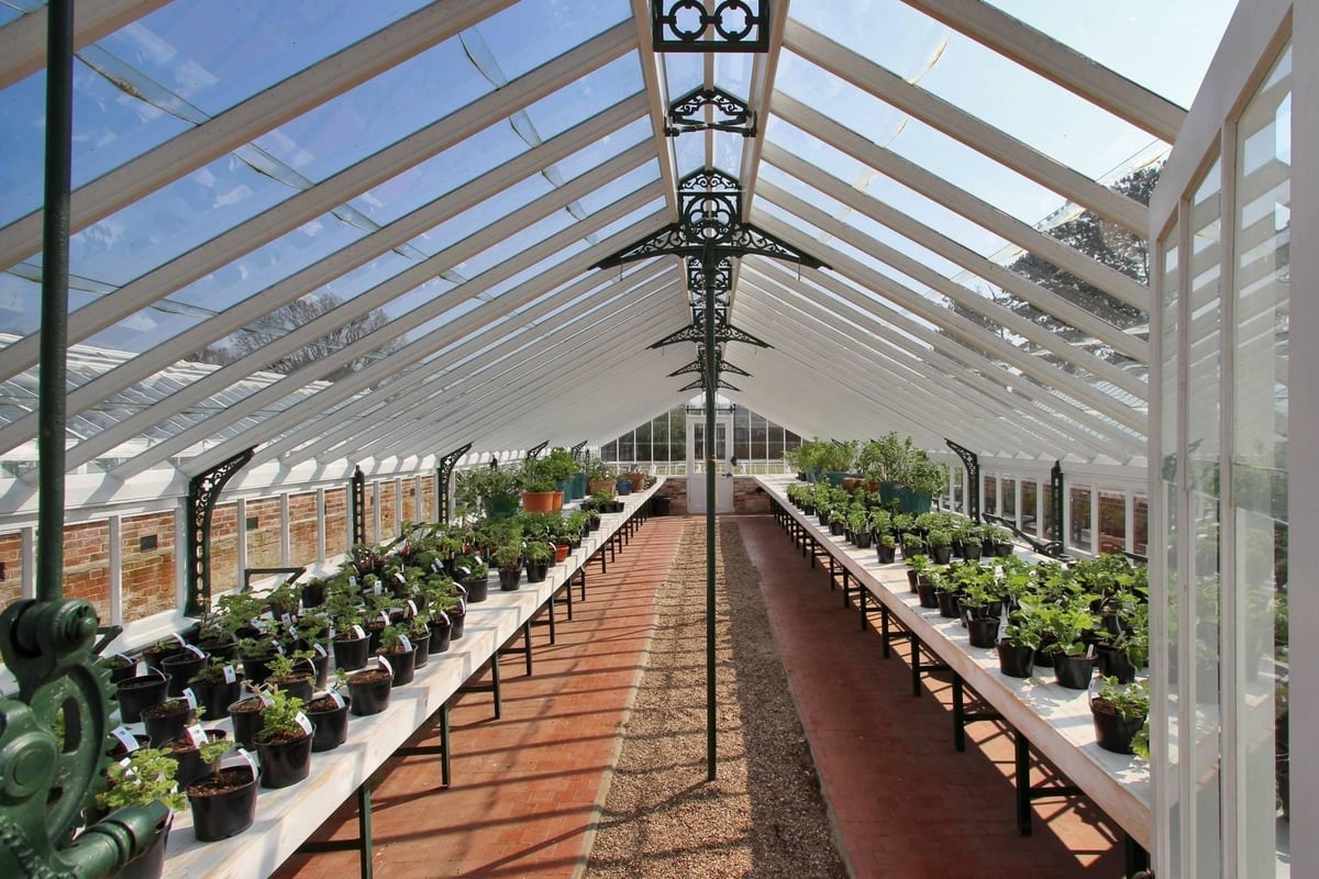 Go green: Victorian glasshouses for sale in Kent with a successful shop, restaurant and event space | Homes and Property