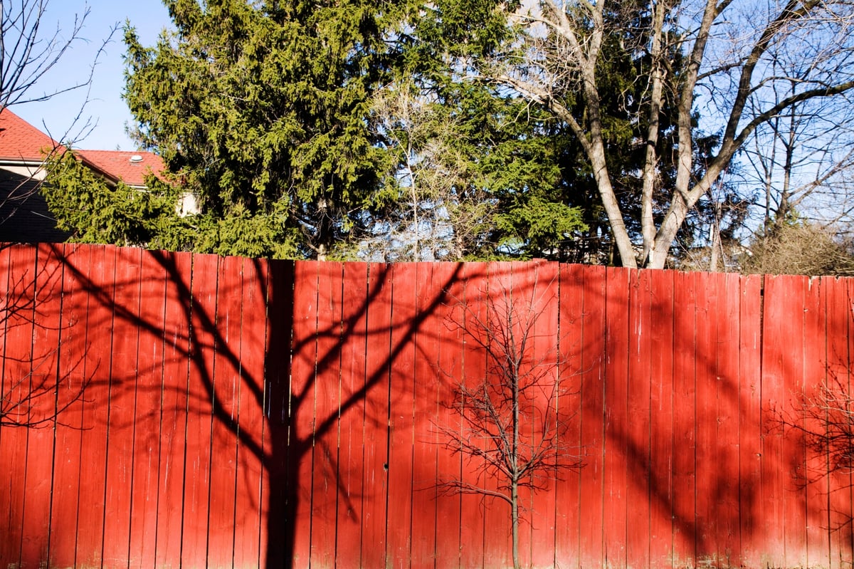 Neighbour disputes: a fence is blocking the light to our home — what can we do? | Homes and Property