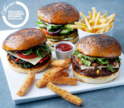 Save 20% off Meal Combos at Otarian