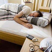 DNA study in bid to tackle bedbugs | London Evening Standard