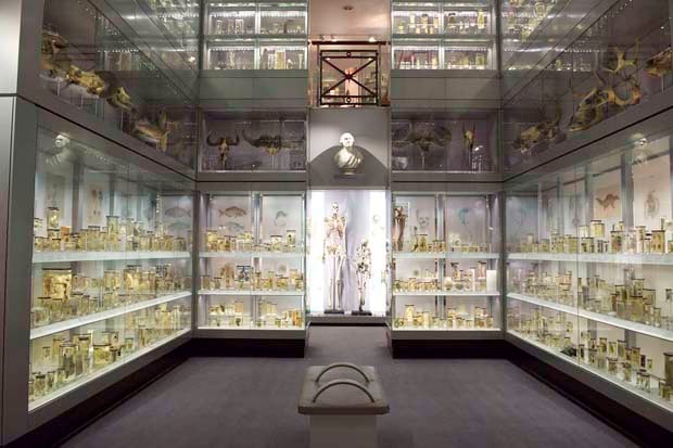 Top 10 quirkiest museums in London | London Evening Standard