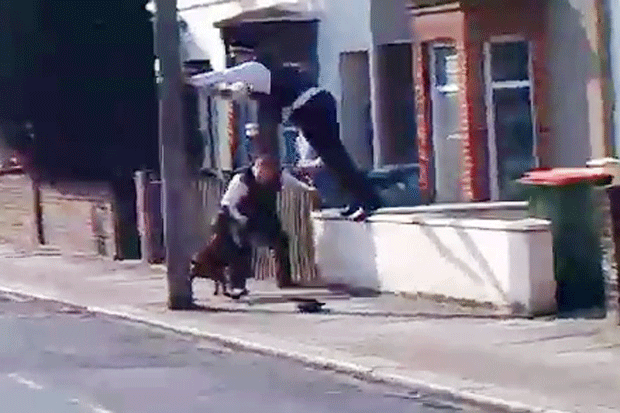 Devil dog that savaged officers mauled me last year, but police took no action | London Evening Standard