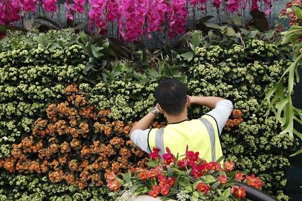 Touts charging £300 for tickets to sold-out Chelsea Flower Show | London Evening Standard