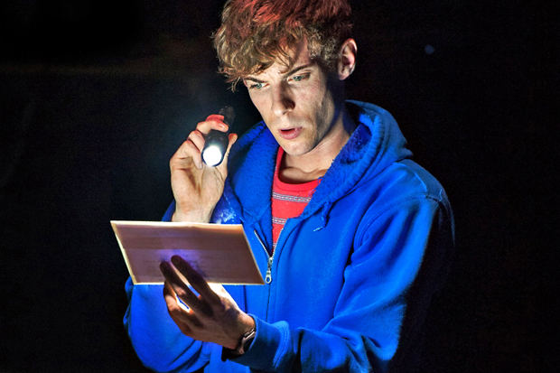 The Curious Incident of the Dog in the Night-Time, Cottesloe/NT - review | London Evening Standard