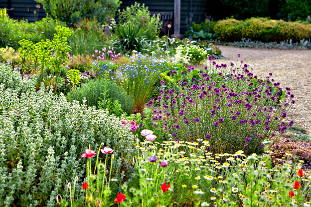 Gardens to stir the imagination | London Evening Standard