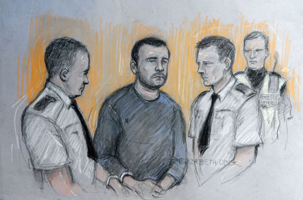 Cardiff van rampage: Driver in court on murder charge | London Evening Standard