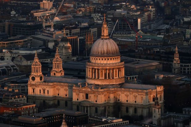 The farmyard comes to St Paul's | London Evening Standard