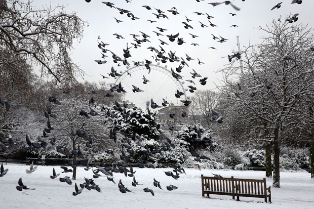 Snow in London: capital set for another covering tonight... and a weekend of rain | London Evening Standard
