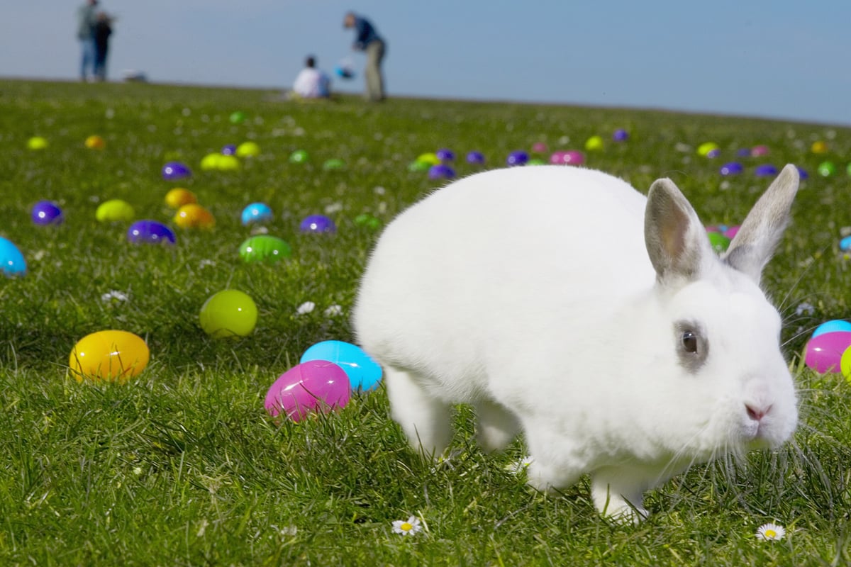 Easter holidays 2018: Things to do in London with your family | London Evening Standard