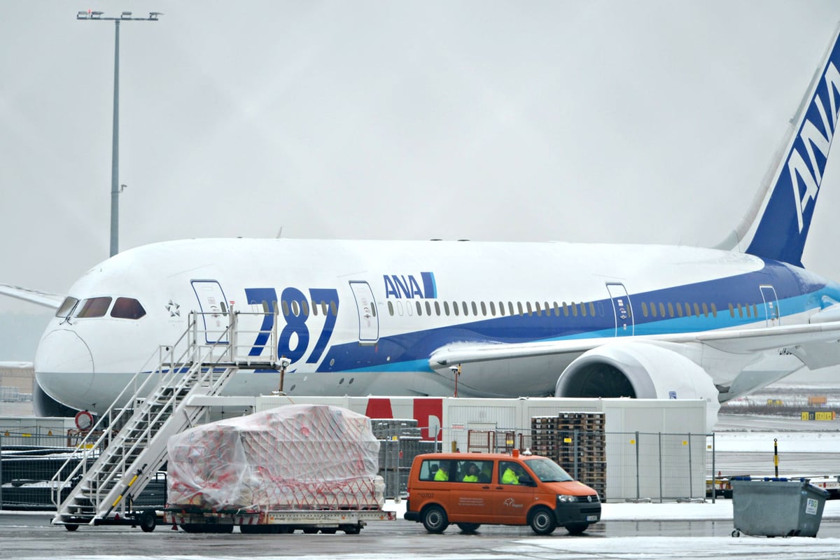 Dreamliner set to fly on despite fire | London Evening Standard