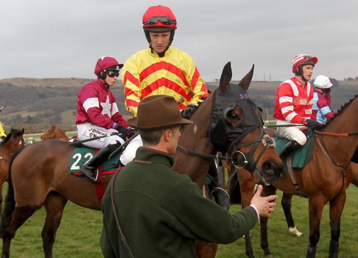 Jump jockey injured at Cheltenham Festival is paralysed | London Evening Standard