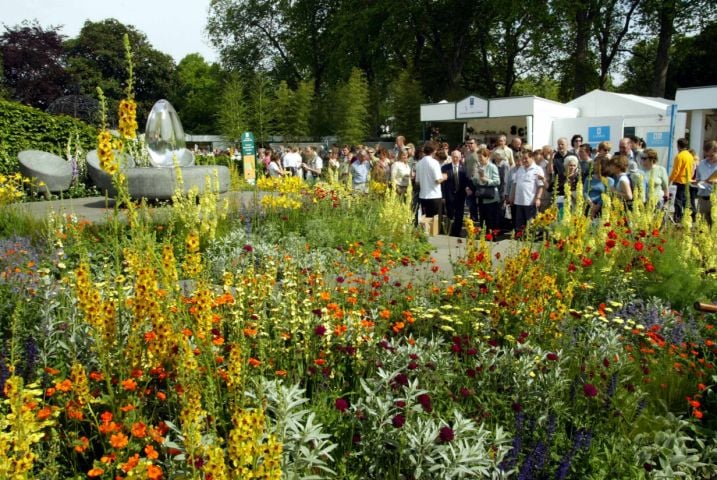 In bloom: new growth at Mitie | London Evening Standard