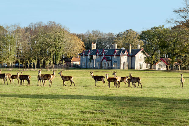 The Gunton Arms - review | London Evening Standard