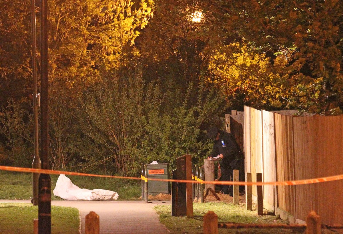 Youth fighting for life after being shot in the head on south London waste ground | London Evening Standard