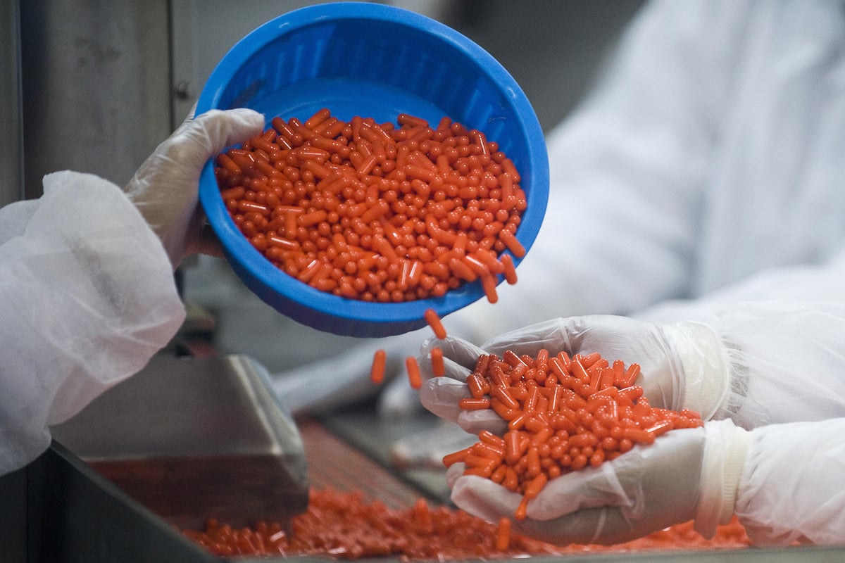 New bird flu strain could spark 'worldwide outbreak' | London Evening Standard