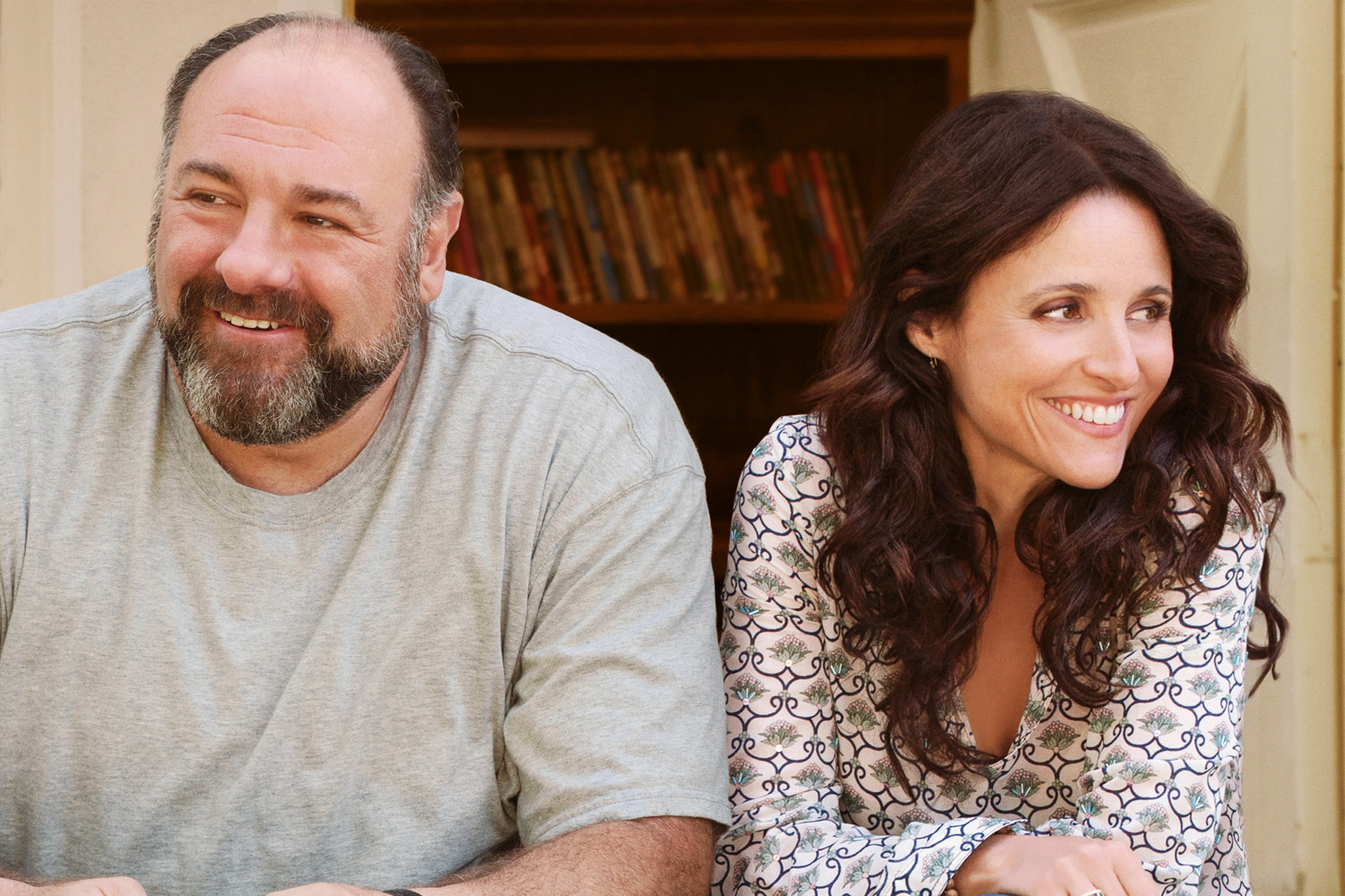 Film of the week: Enough Said - review