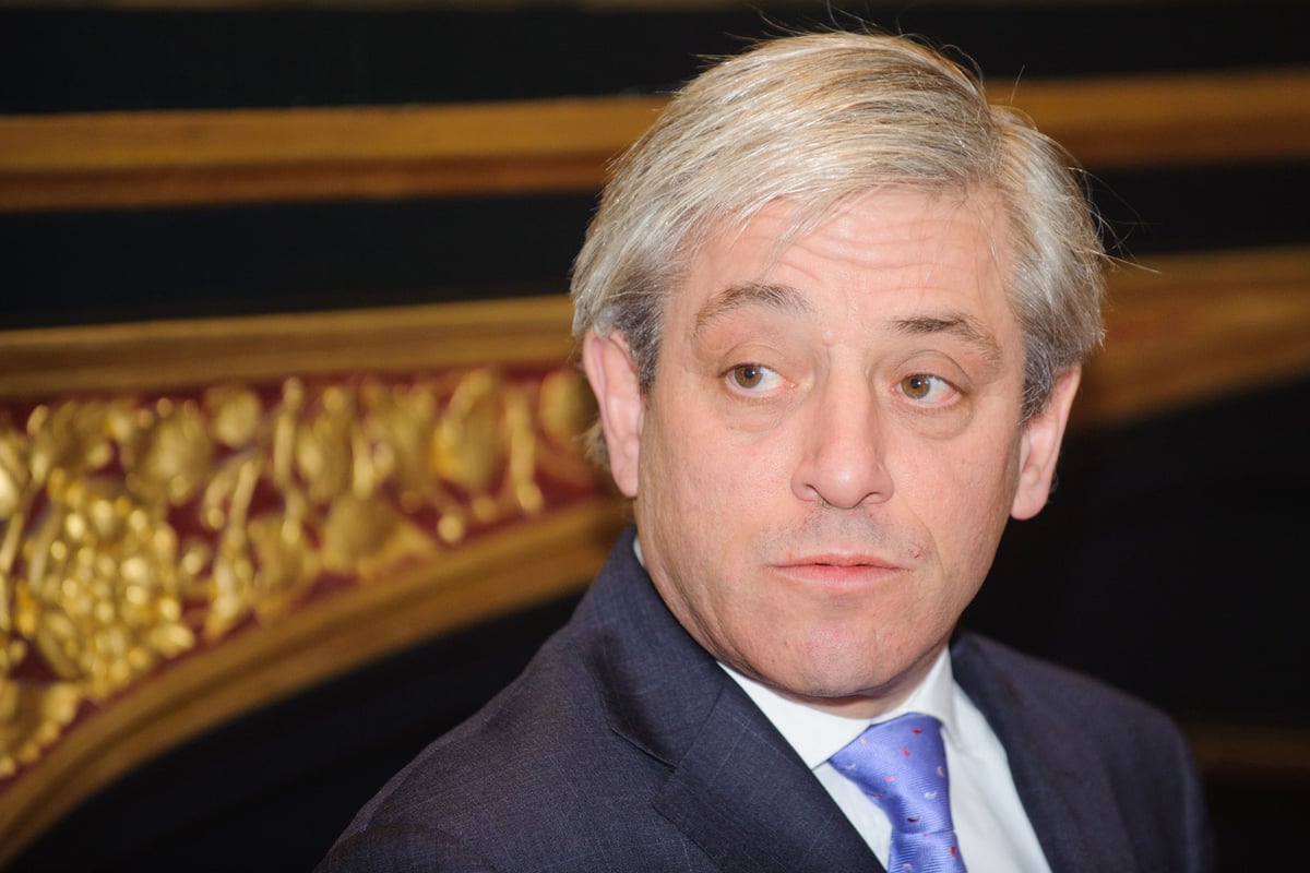 Tory MP accuses William Hague of 'squalid manoeuvre' over secret plot to oust Speaker Bercow | London Evening Standard