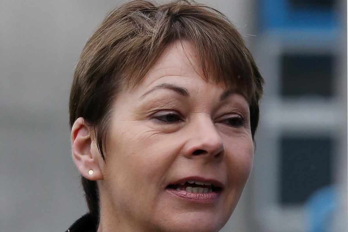 Green MP Caroline Lucas defied police at West Sussex fracking sit-in | London Evening Standard