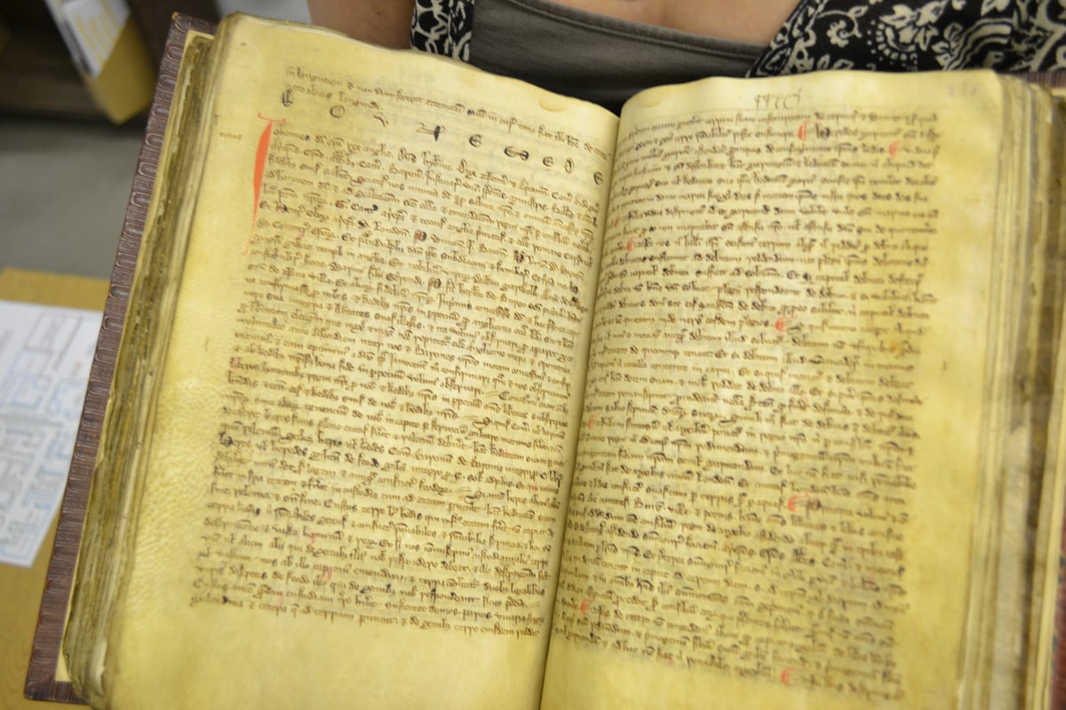Rare Magna Carta copies to be displayed for 800th anniversary celebrations of its sealing | London Evening Standard
