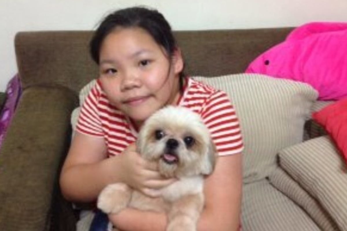 Pictured: the Taiwanese exchange student killed by lorry yards from crossing... as police renew appeal | London Evening Standard